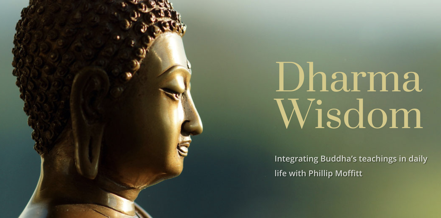 How To Find Wisdom And A Freedom Of Heart During Times Of Transition